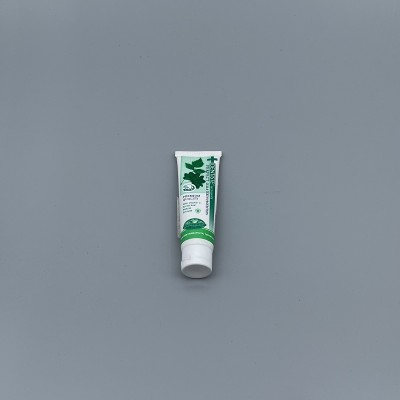 牙膏 夜用型 20g 一般